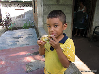 Eating corn on the cob<...>comiendo elotes….